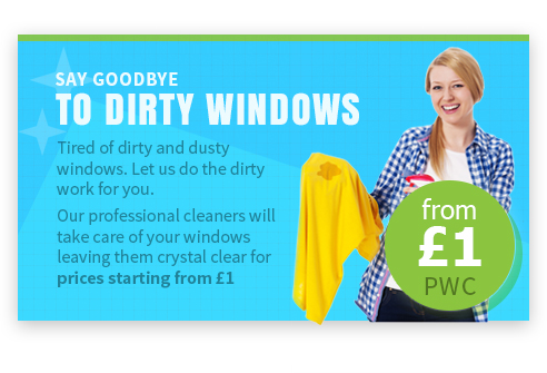 Windows Cleaning on the Cheap