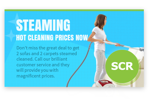 Magnificient Prices for Steam Cleaning