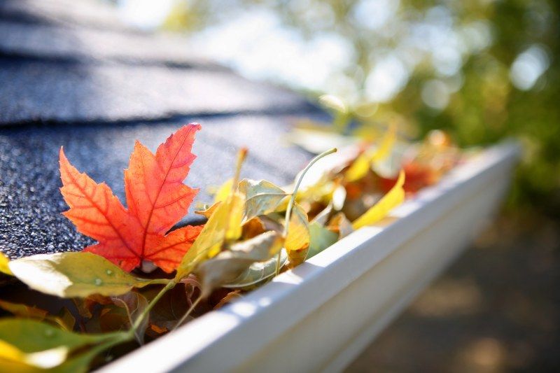 A Guide to Autumn Cleaning