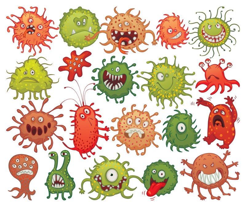 germs at home