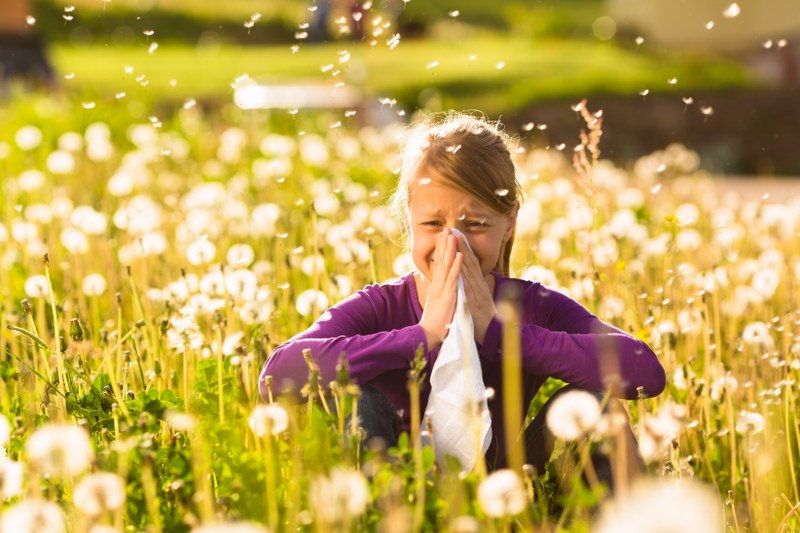 hayfever