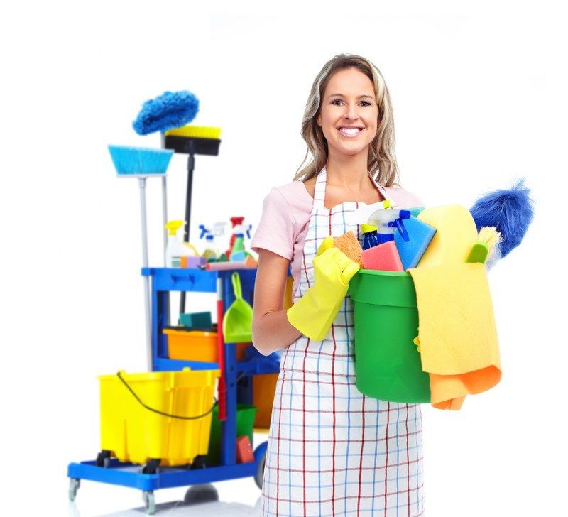 domestic cleaners