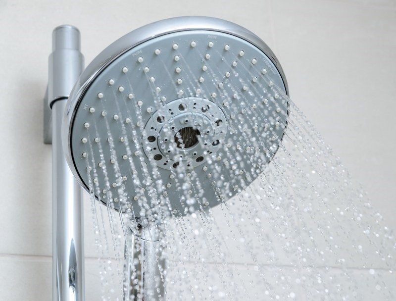 cleaning the showerhead