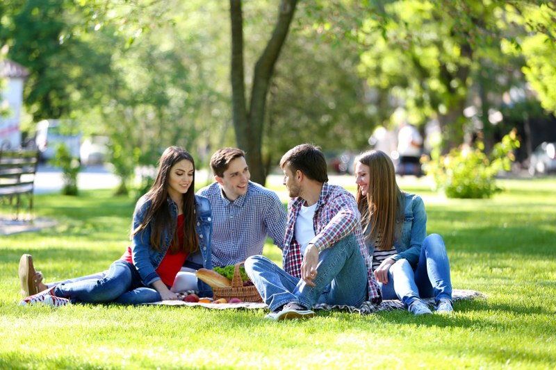 lunchtime picnics