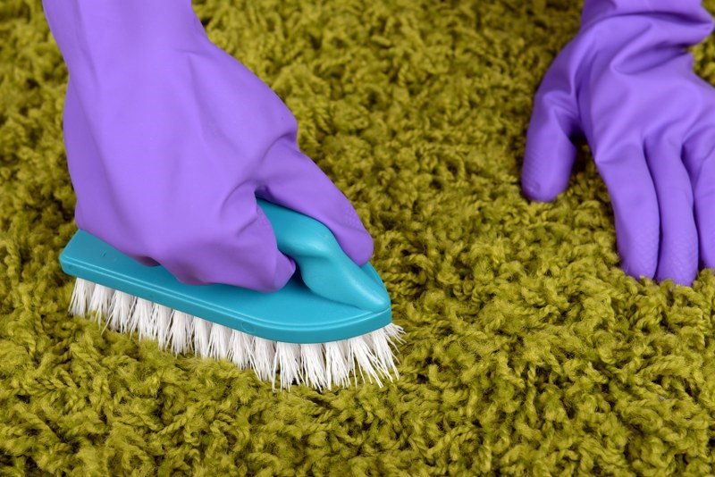 6-Carpet-Cleaning-24_800x534