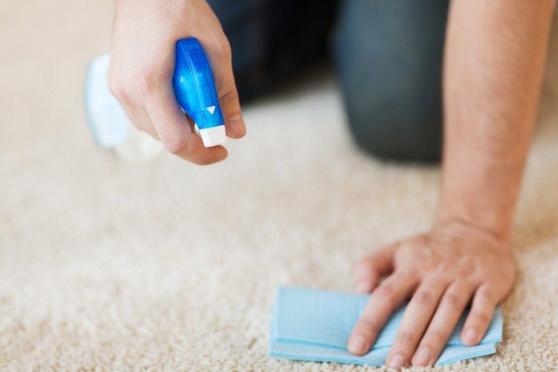 carpet cleaning